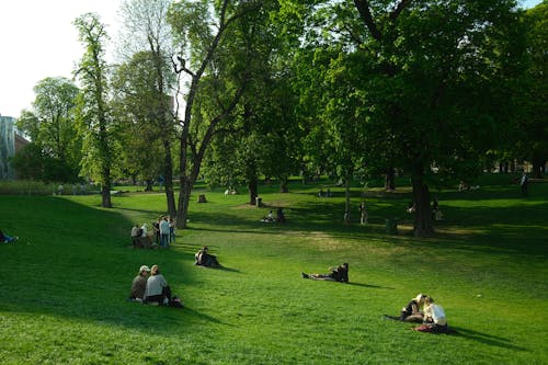 Immagine gratuita di giardino, parco, persone