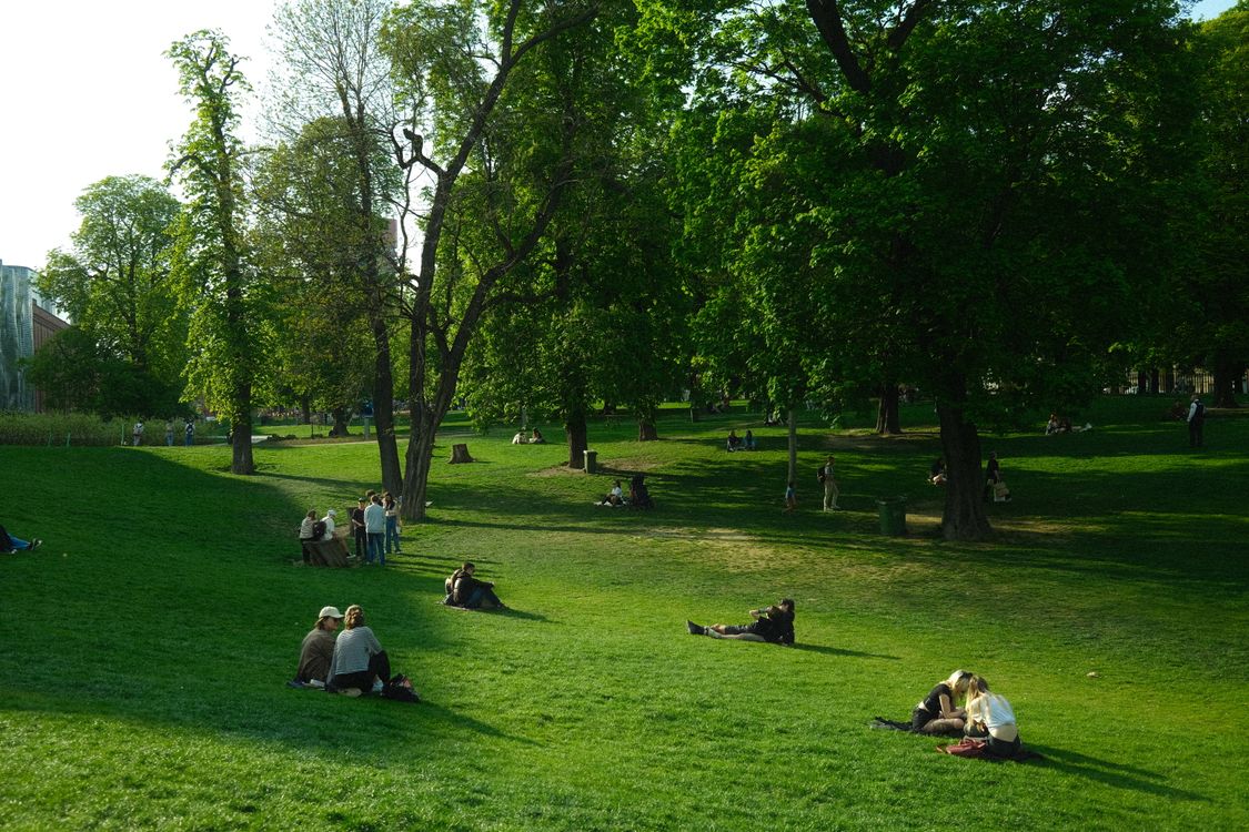 A closer look at Is Eating Grass At The Park Bad