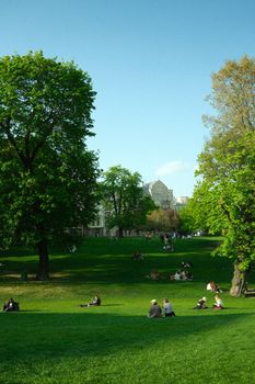 People enjoying leisure time in a vibrant green city park under a clear blue sky.