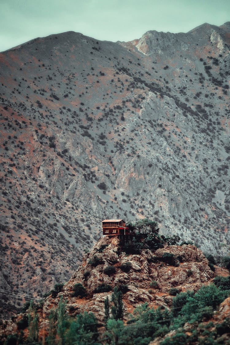 Brown House On Top Of The Hill