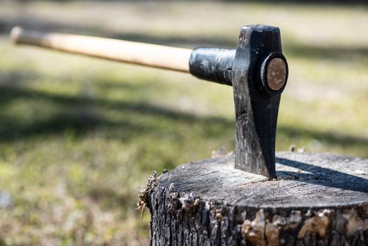 An Axe Stuck on a Chopped Wood
