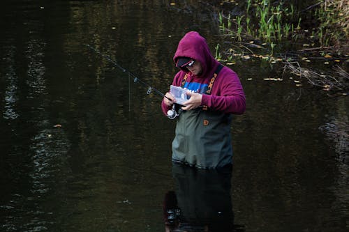 Fotos de stock gratuitas de caña de pescar, estanque, hombre