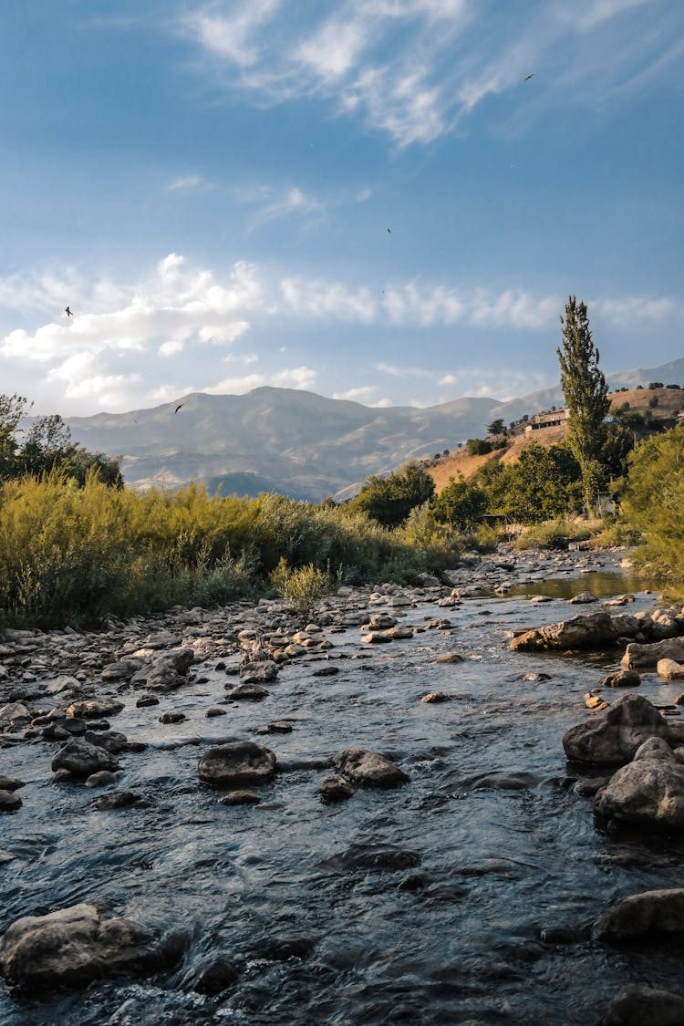 A River Near The Mountain