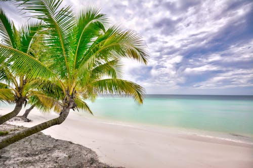 An Empty Beach 