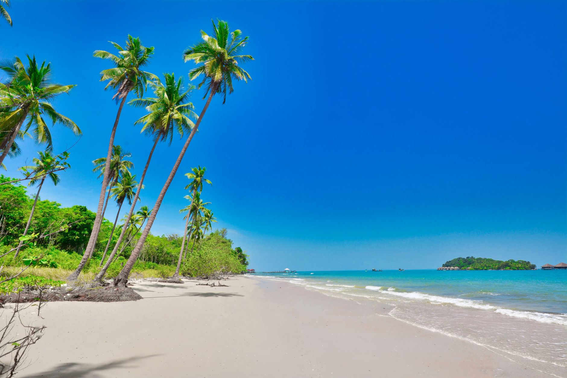 Serene tropical beach in Sihanoukville, Cambodia with coconut trees and clear blue skies.