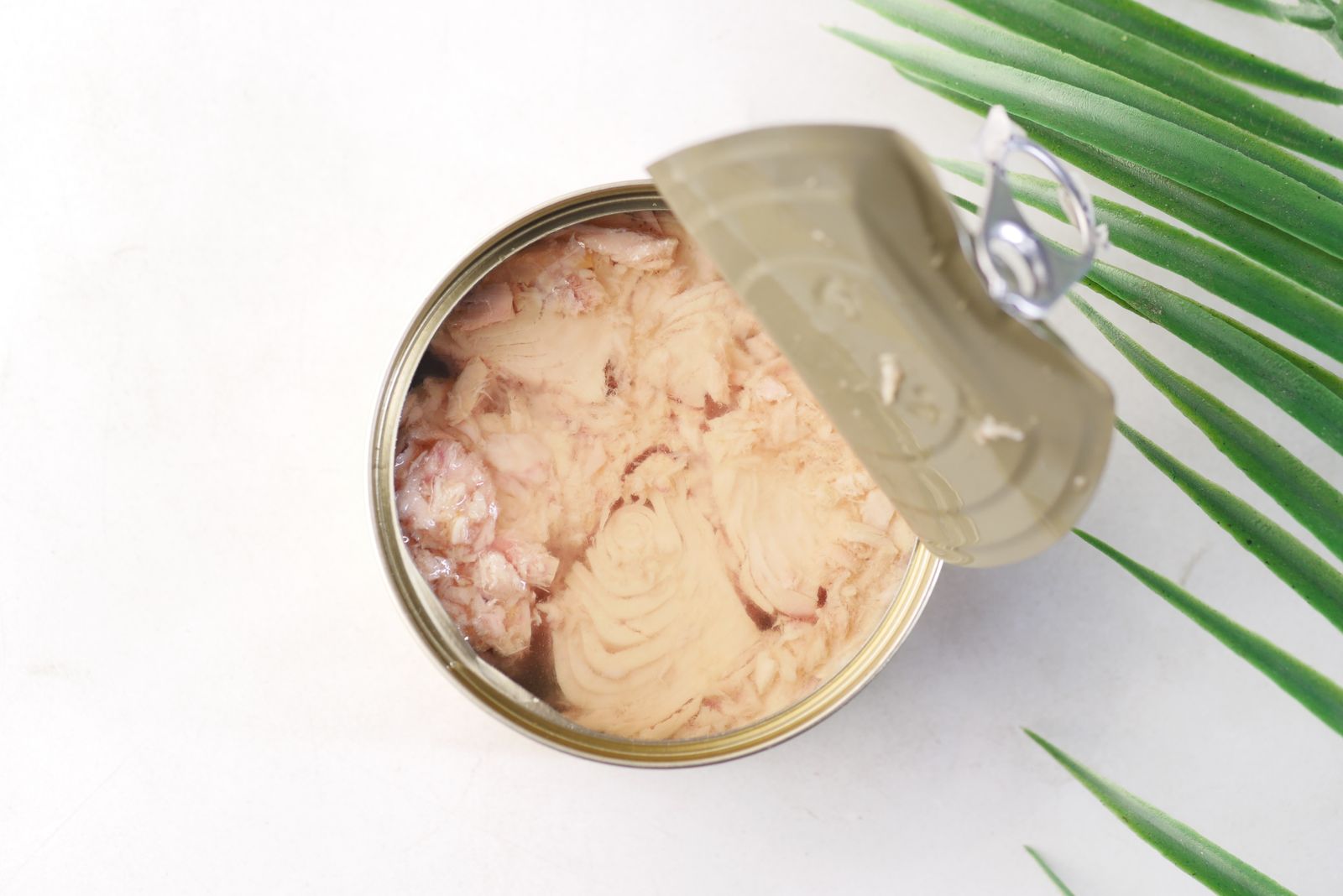 Opened can of tuna on a light surface.