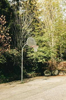 A solitary basketball hoop stands amidst lush green trees on an outdoor court.