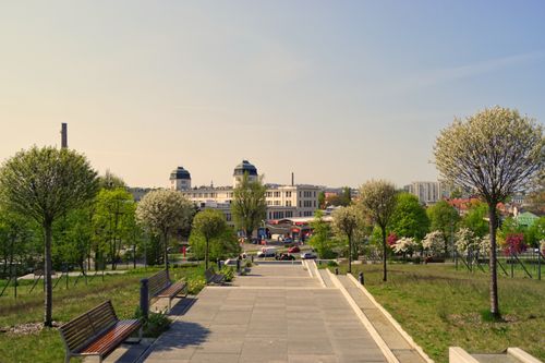 Free A sunny day in Zielona Góra park with benches and blooming trees lining a stone pathway. Stock Photo