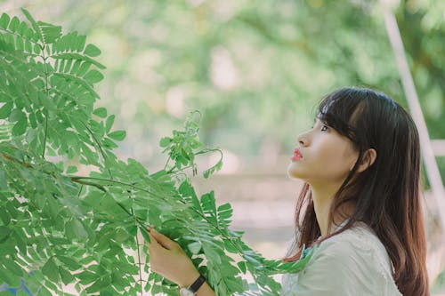 무료 잎을 들고 여자의 사진 스톡 사진
