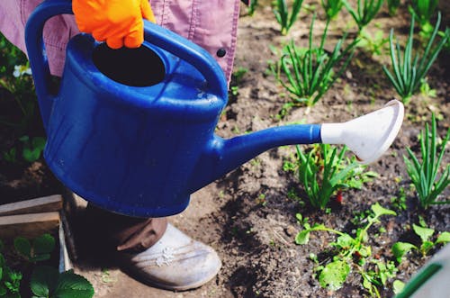 Hand Carrying a Plastic Watering Can 