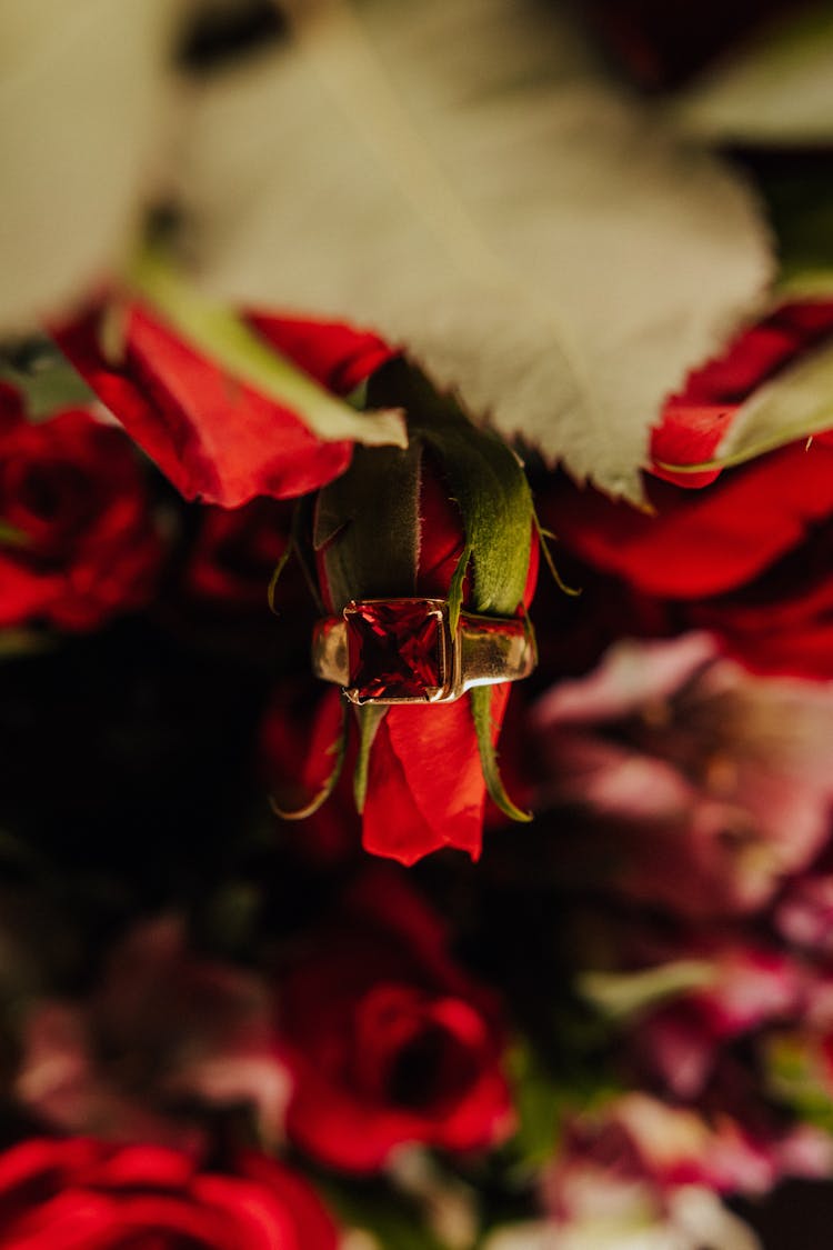 Ruby Ring On A Rose Bud