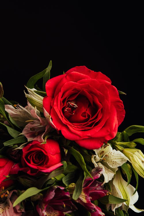 Red Roses in Bouquet