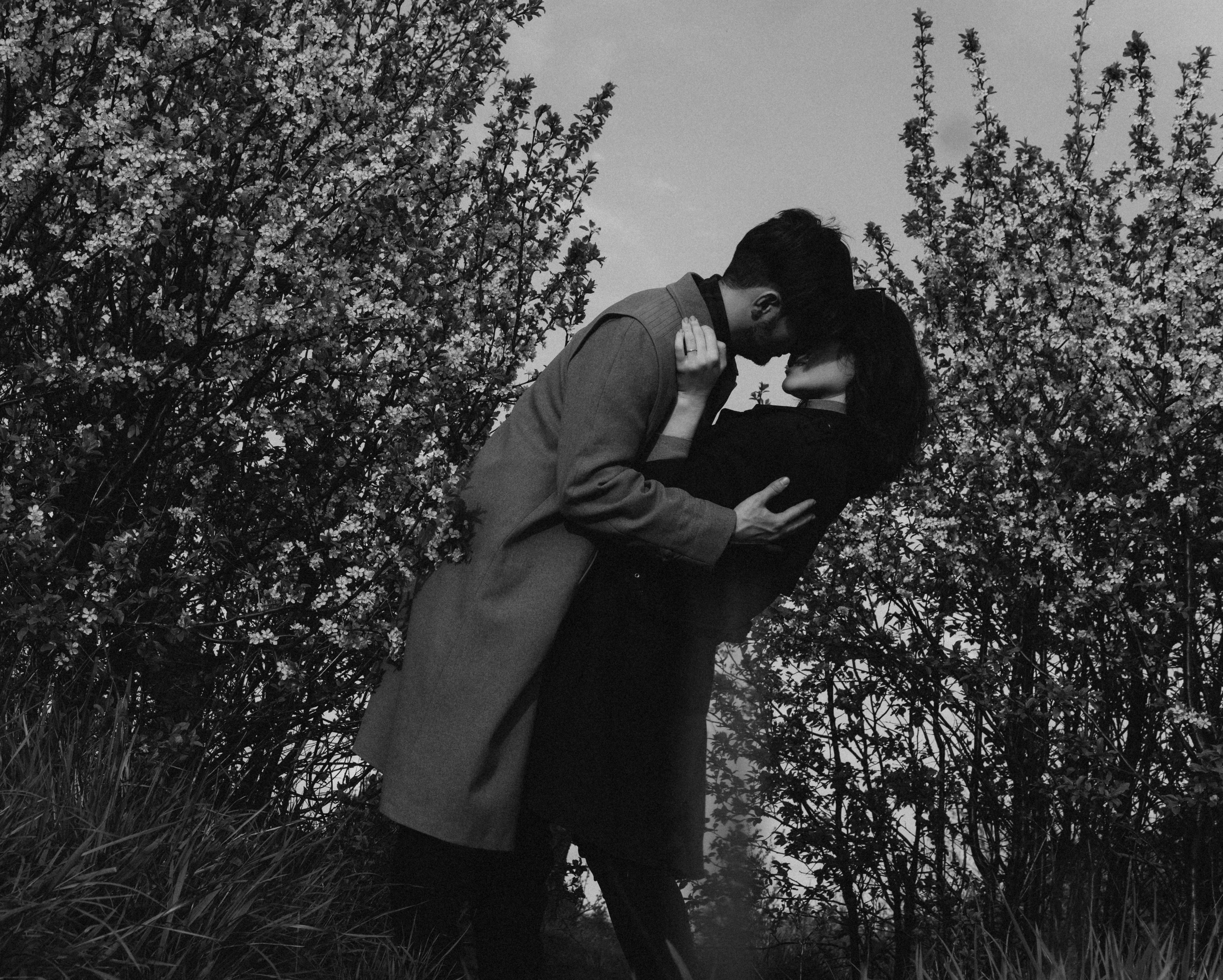 Black and White Photo of a Couple Kissing by Blooming Trees · Free