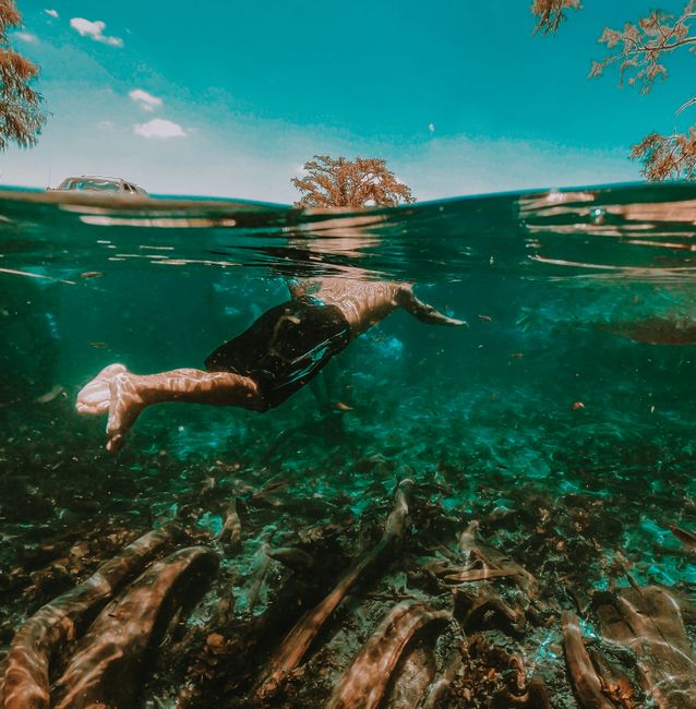 Swimming in Holy Waters: A Refreshing Experience Swimming in Holy Waters: A Refreshing Experience