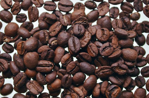 Kostnadsfria Kostnadsfri bild av brun, färsk, kaffebönor Stock foto