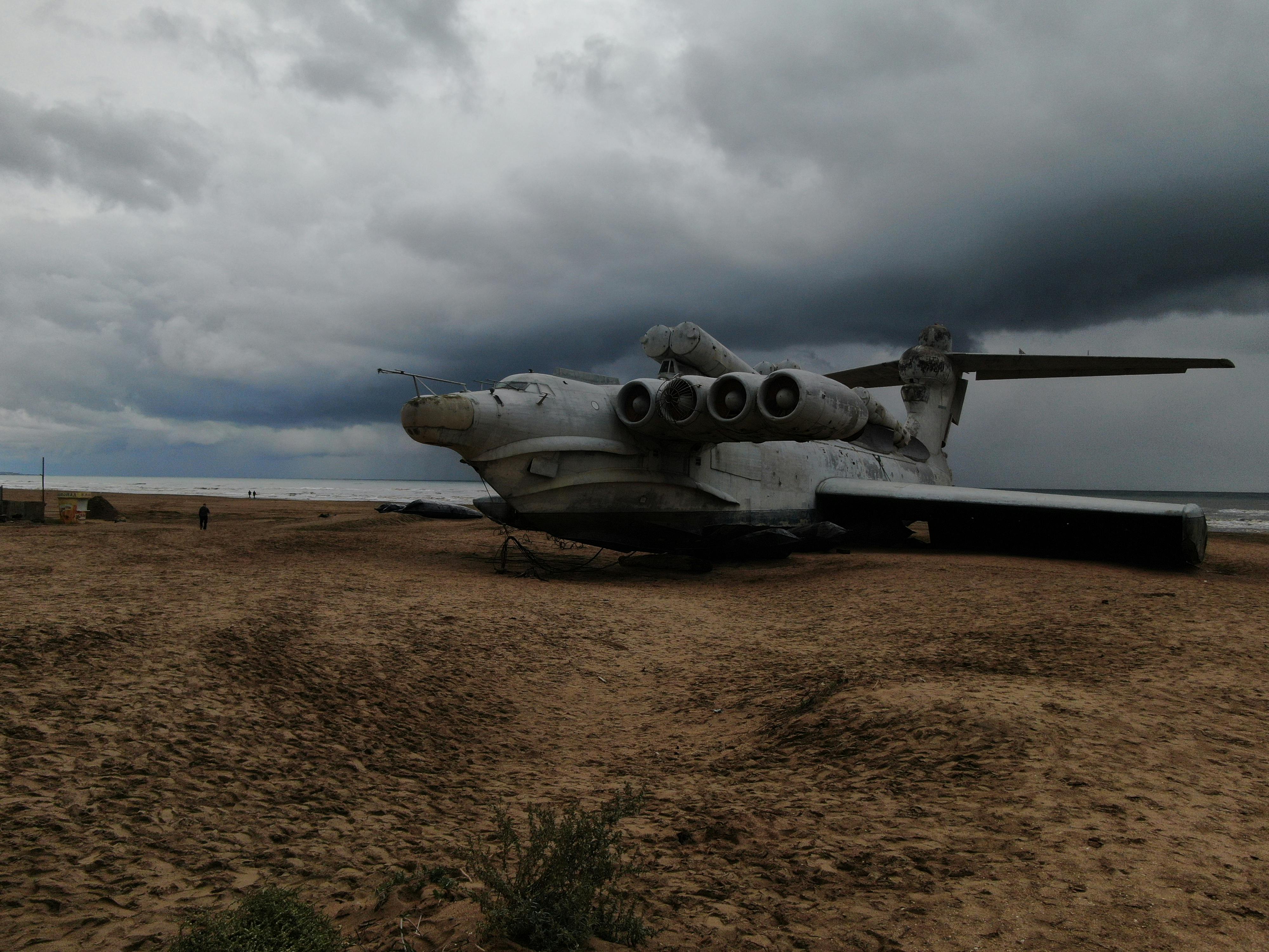 Vintage Airplane on Beach · Free Stock Photo