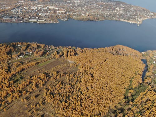 Aerial Shot of the Landscape Consisting of a Lake and a Forest