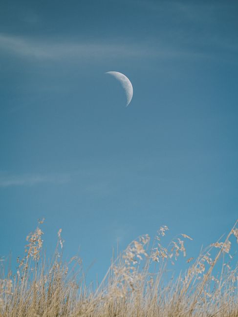 Crescent moon in a clear blue sky above golden grass. Tranquil nature scene.