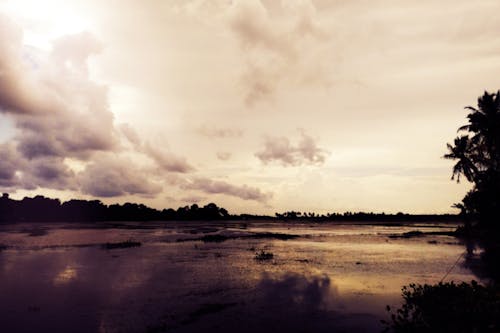 Free stock photo of backwaters, water