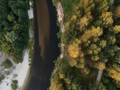 Kostenloses Stock Foto zu aufsicht, bäume, fluss