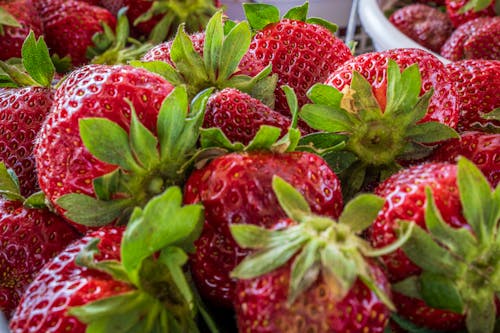 Free Strawberries in Bucket Stock Photo