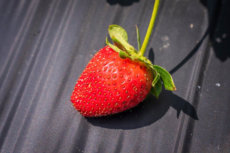 Close-up Of A Strawberry 