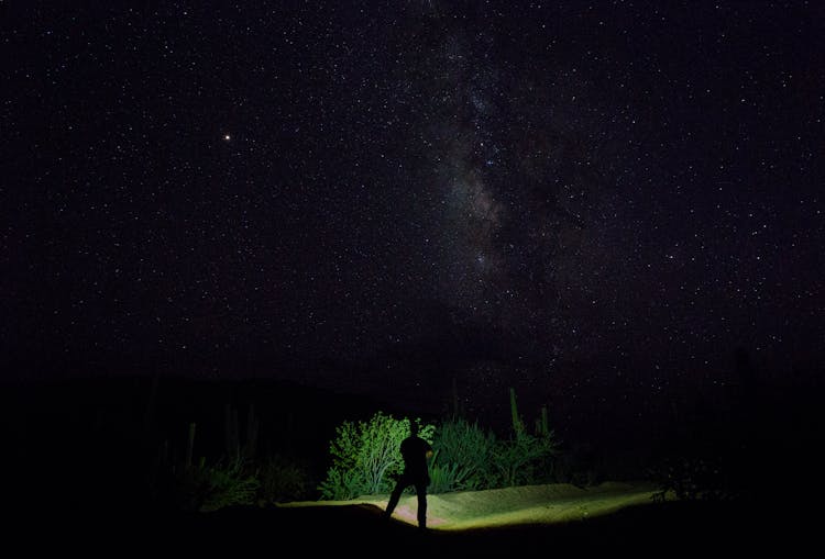 Estrellas De Baja