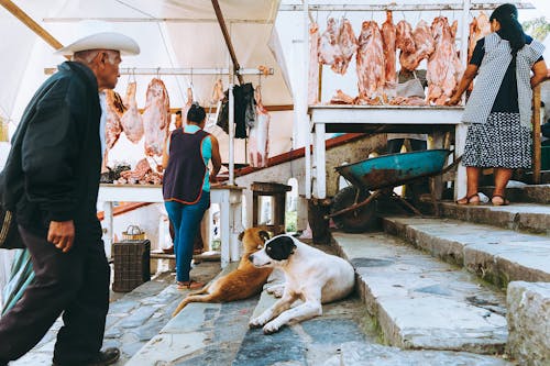 Cuetzalan Market