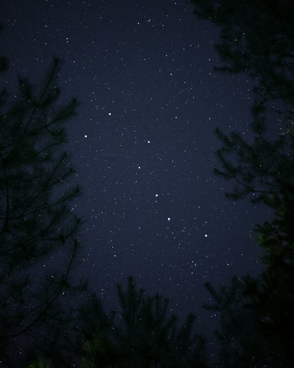 The Ursa Minor in the Night Sky · Free Stock Photo