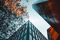 瑞士伯尔尼城市建筑和树木的低角度视图