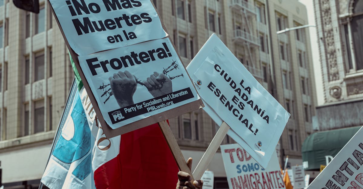 國際:高雄市立場保守影響政策走向,經濟發展面臨挑戰