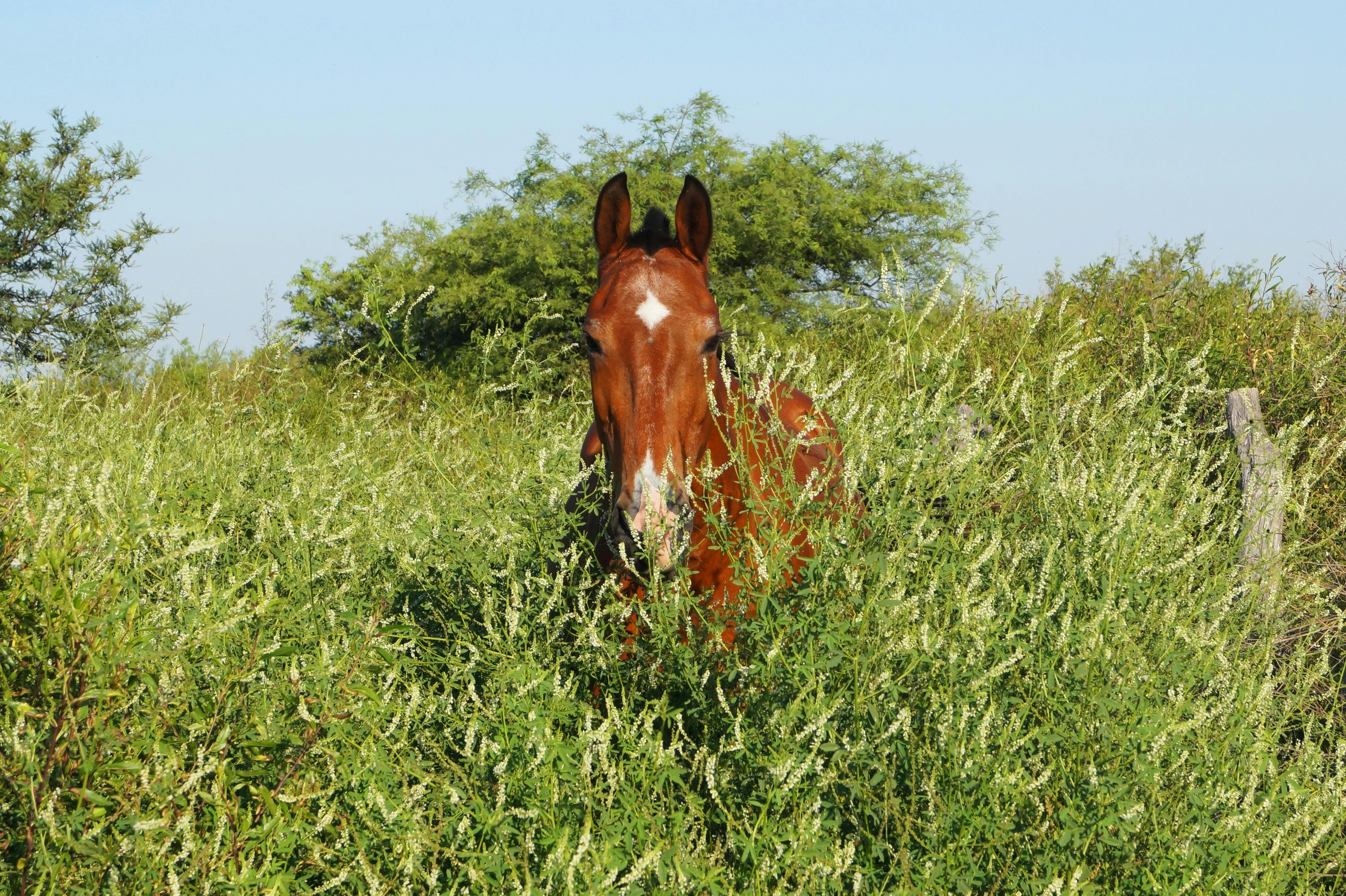 What are the hidden skills?