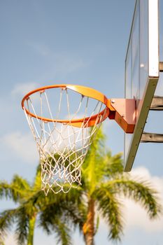 Close-up of a basketball hoop against a blue sky with palm trees.