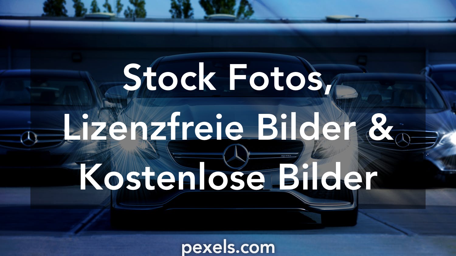 20.000+ Fotos, Bilder und lizenzfreie Bilder zu Auto Kühlergrill - iStock
