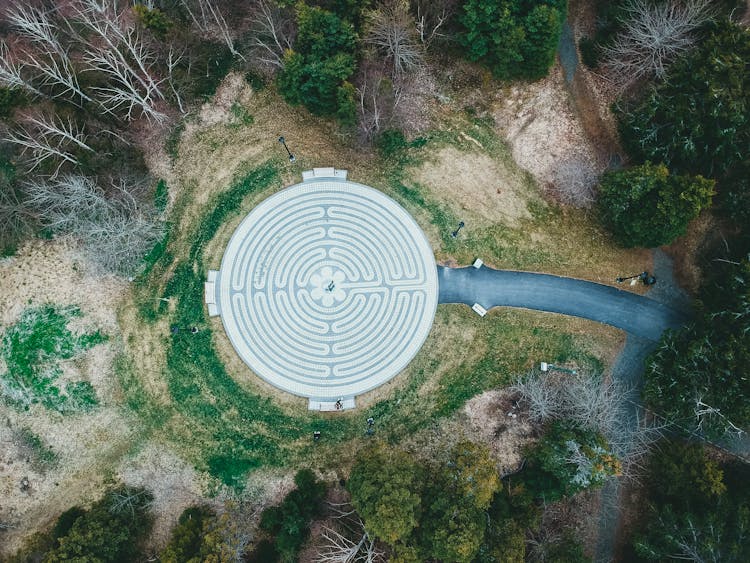 Circular Maze In Forest