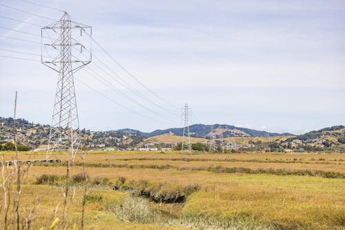 Foto d'estoc gratuïta de arbres, edificis, electricitat