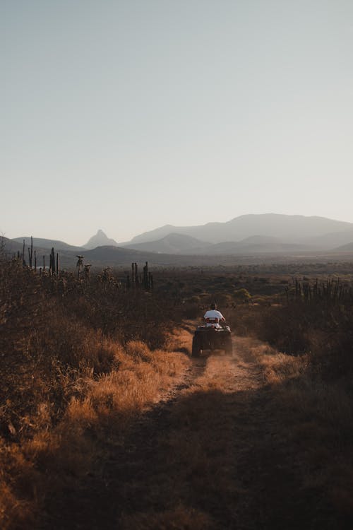 Immagine gratuita di campagna, guidando, quadrilatero