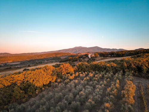 Scenic Landscape at Sunset 