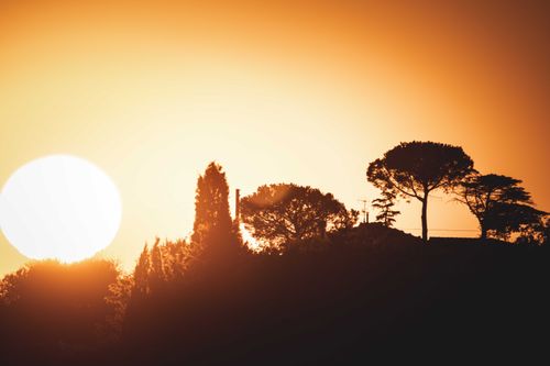 Free Vivid sunset with silhouetted trees on a hill, creating a dramatic and serene landscape. Stock Photo