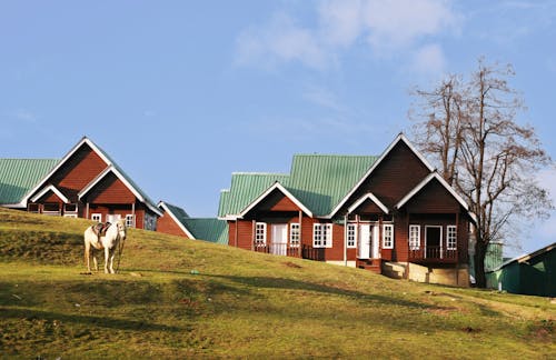 Houses with Horse