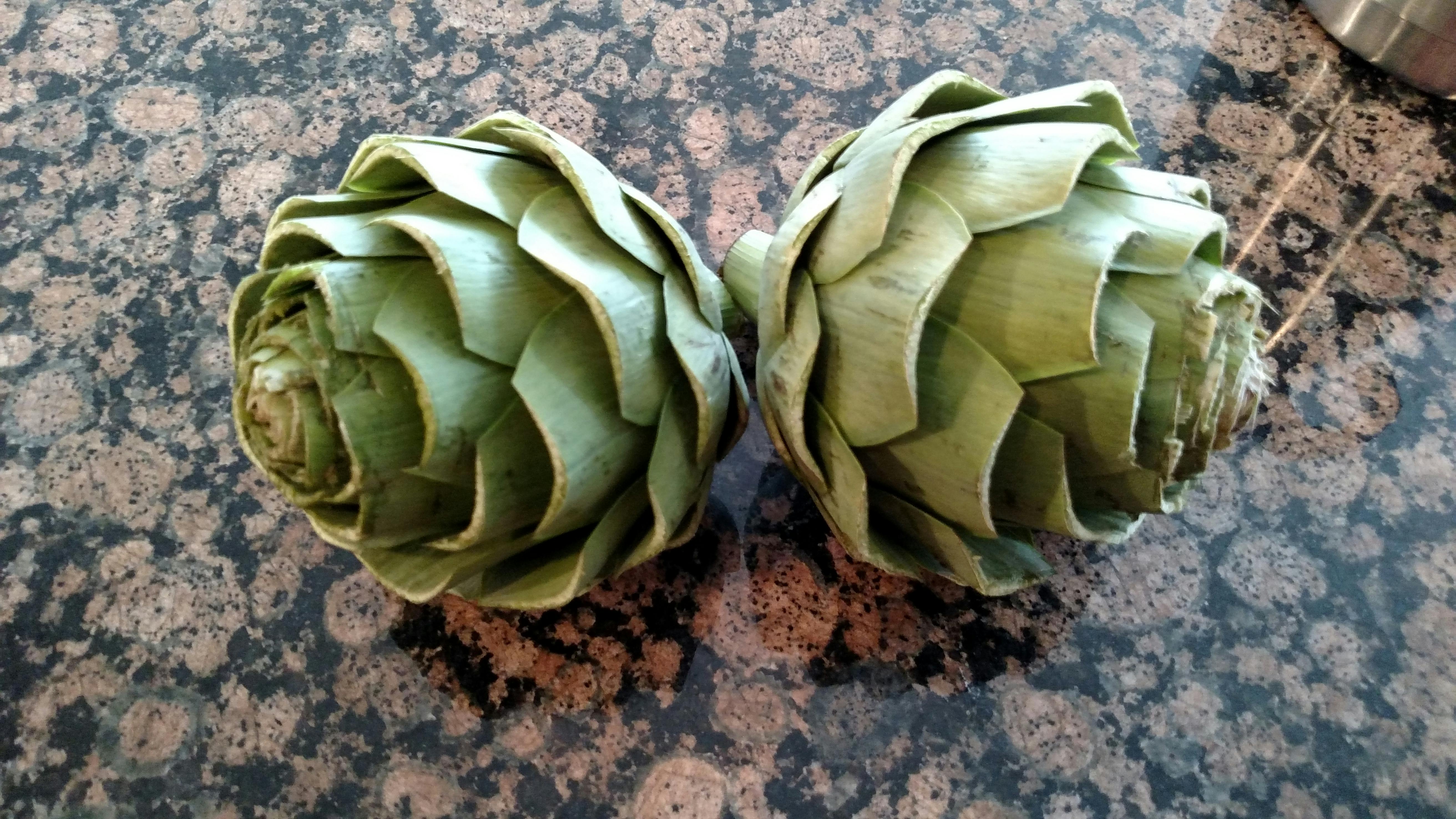 Free stock photo of artichokes