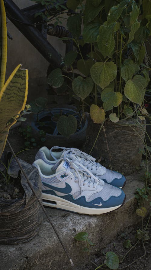 Pair of Blue Nike Air Max Sneakers Between Potted Plants