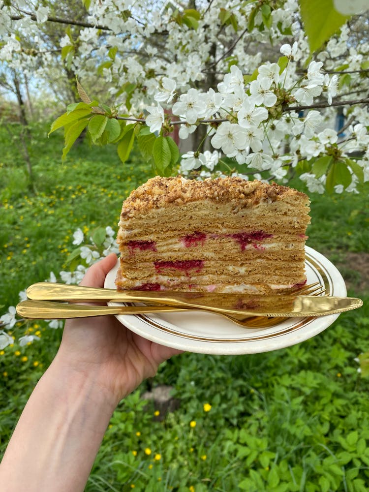 Person Hand Holding Homemade Cake On Plate In Garden