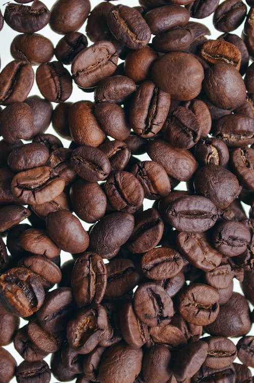 Free Coffee Beans in Close Up Photography Stock Photo