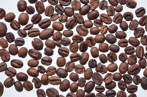 Free Roasted Coffee Beans on White Surface Stock Photo