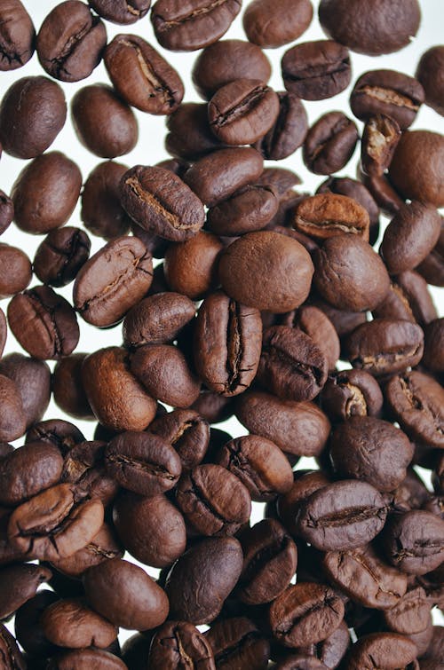 Free Close Up Photo of Coffee Beans Stock Photo