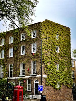 Charming London building covered in lush ivy, showcasing urban elegance.