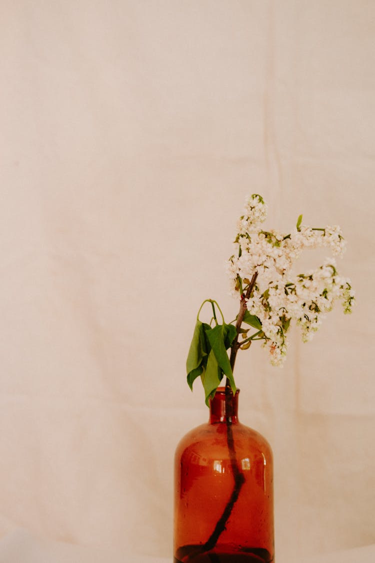 A Plant In A Bottle