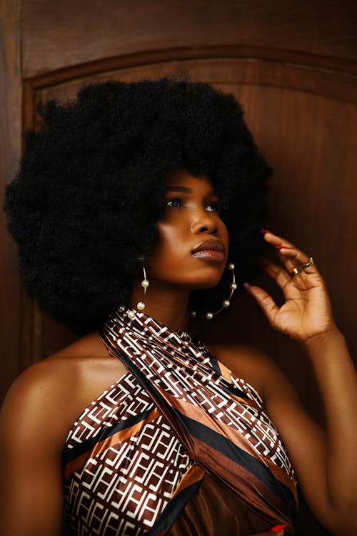 Imagine de stoc gratuită din afro păr, elegant, femeie afro-americană