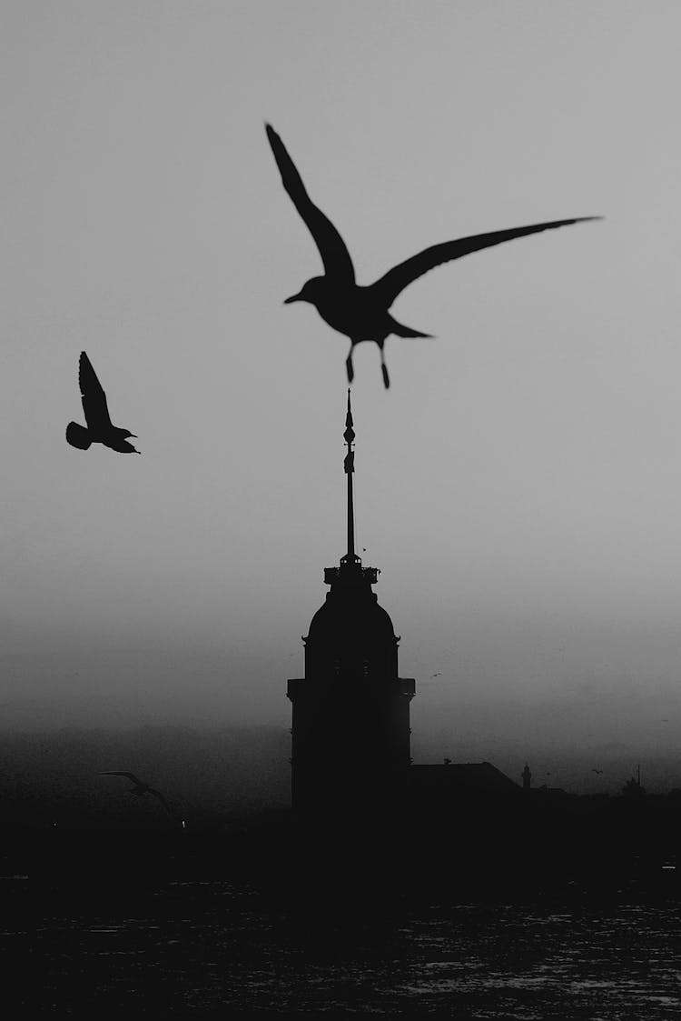 Silhouettes Of Birds Against Building Spire